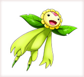 Sun Flowmon